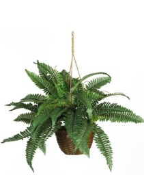 Boston Fern Silk-I